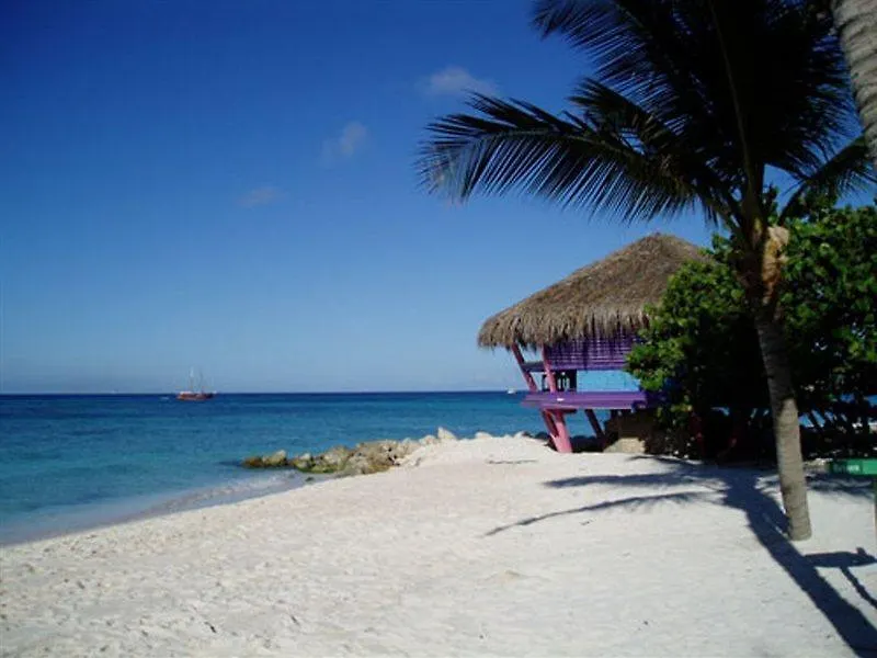 ****  Divi Dutch Village Beach Resort Palm Beach Aruba