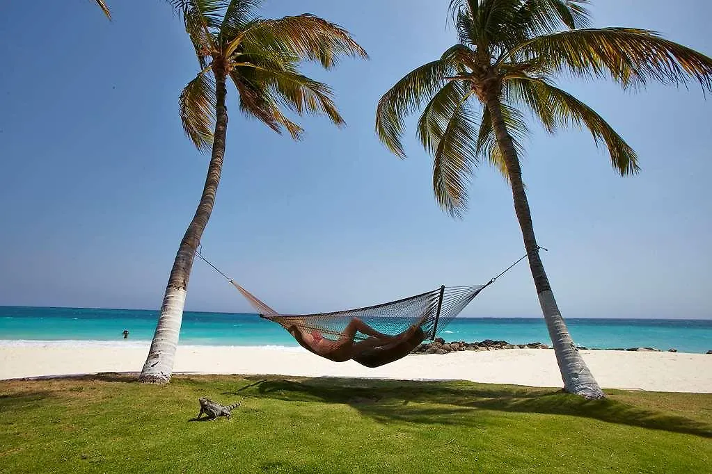 Divi Dutch Village Beach Resort شاطئ بالم